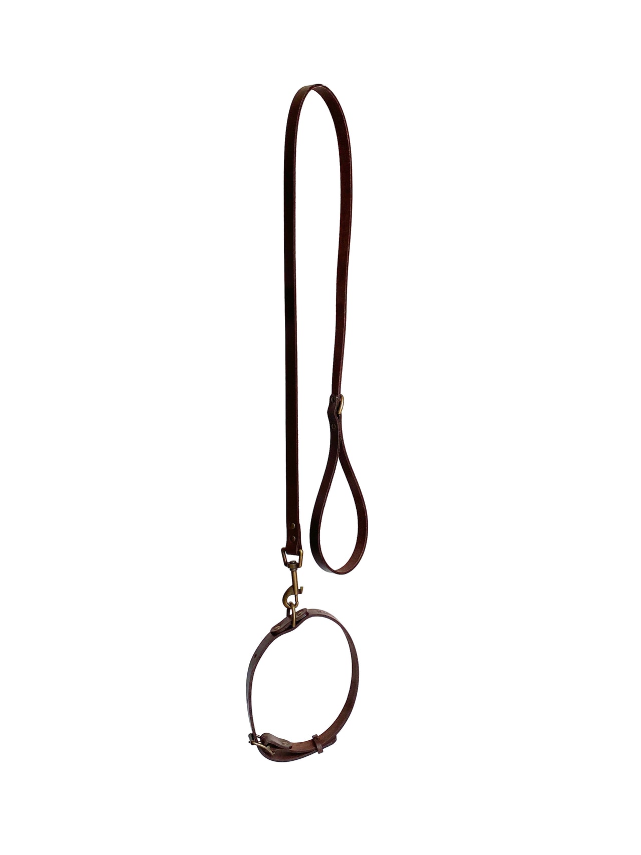 Doggo Leash